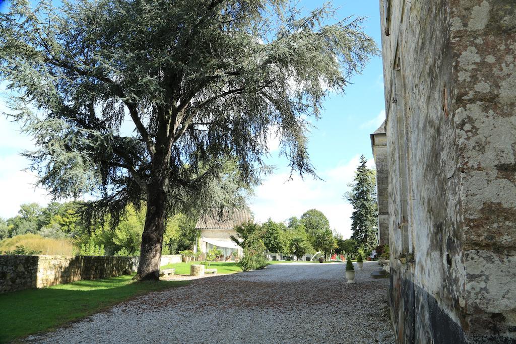 Chateau De Courtebotte Saint-Jean-de-Blaignac Eksteriør billede